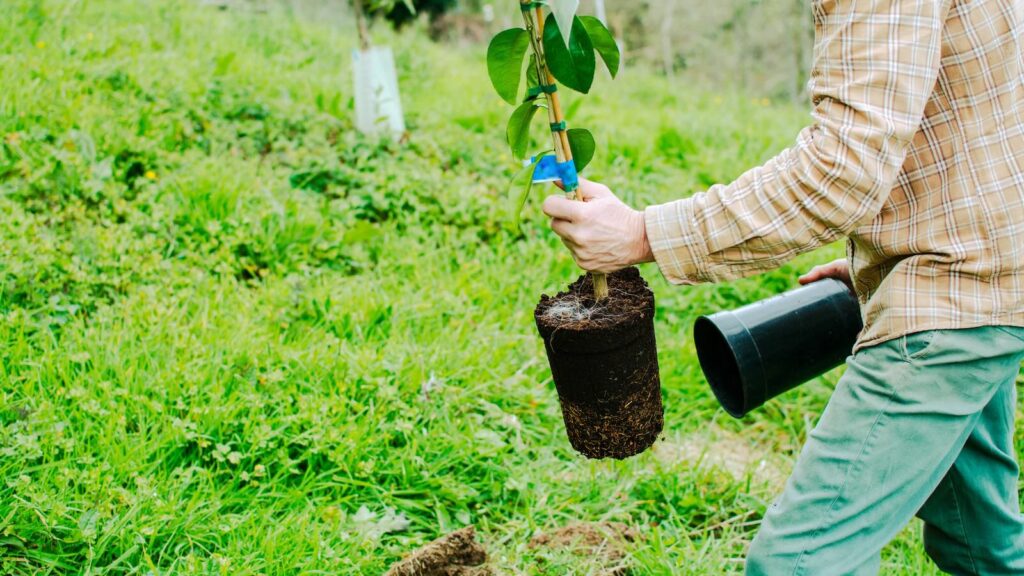 Man krijgt boete van 1.700 euro omdat hij bomen plantte en een bankje repareerde
