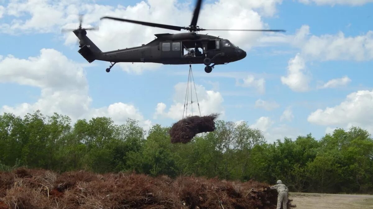 Helikopters werpen 9.000 oude kerstbomen boven een moerasgebied af, maar niet zonder reden