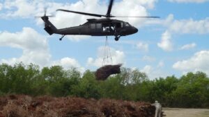 Helikopters werpen 9.000 oude kerstbomen boven een moerasgebied af, maar niet zonder reden