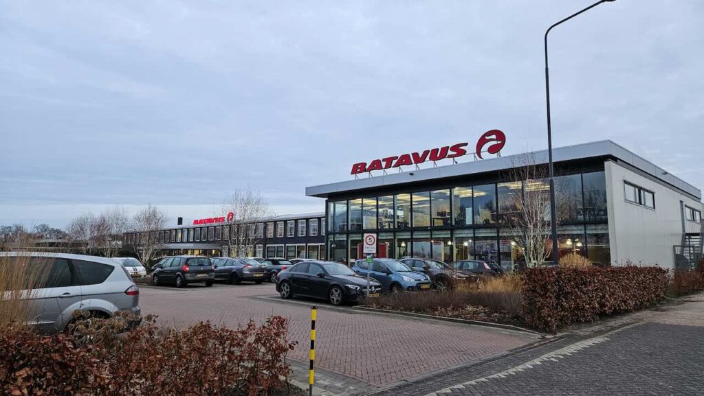 batavus