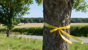 Geel lint om boom: Wat betekent dat?