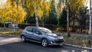 Onder een boom geparkeerd? Zo komt er in oktober water in je auto en gaat de computer eraan