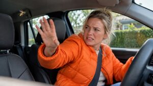 Automobilist krijgt boete nadat hij 18 seconden stopt voor een wesp